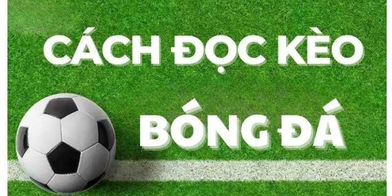 Tìm hiểu về cách đọc kèo trong bóng đá